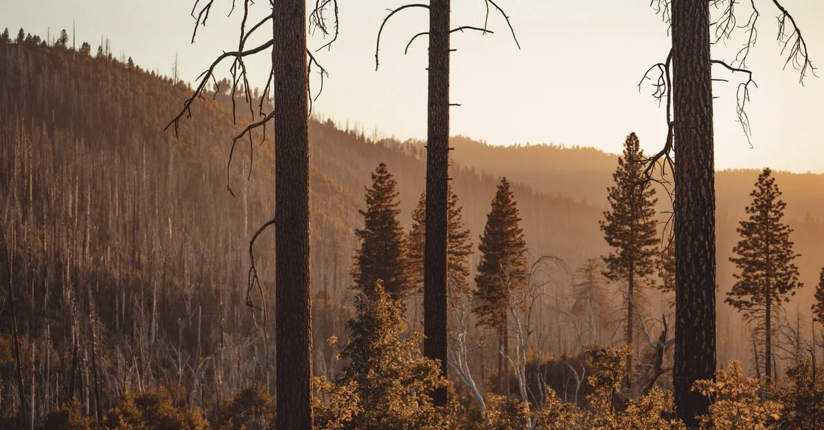 The Ultimate Guide to Walking Tours in El Dorado County