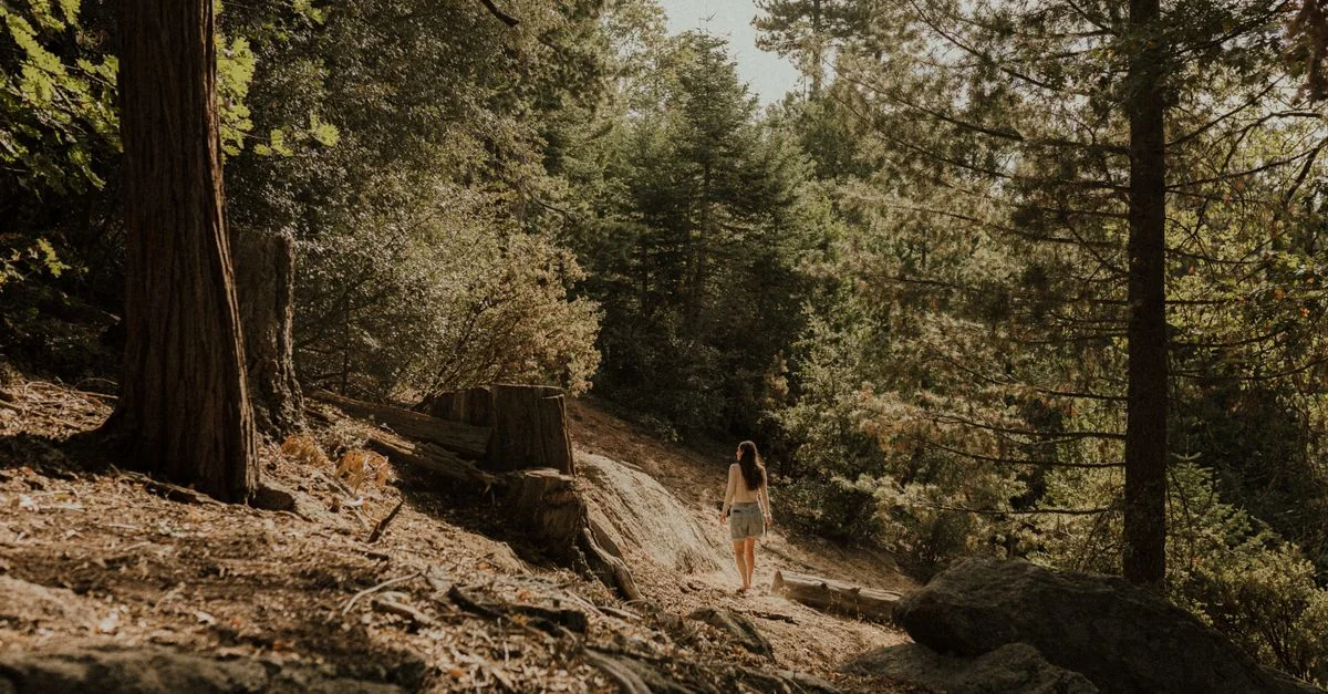 The Ultimate Guide to Walking Tours in El Dorado County