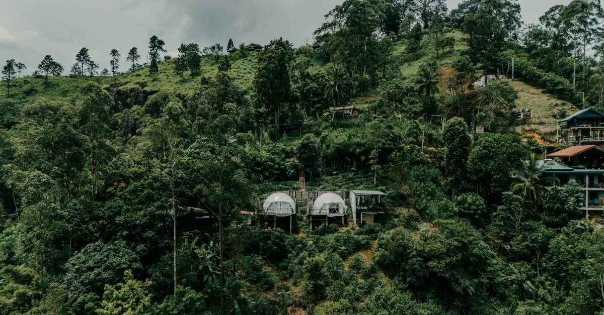 Ella Adventure Guide: Hiking Tours with Prices and Tips