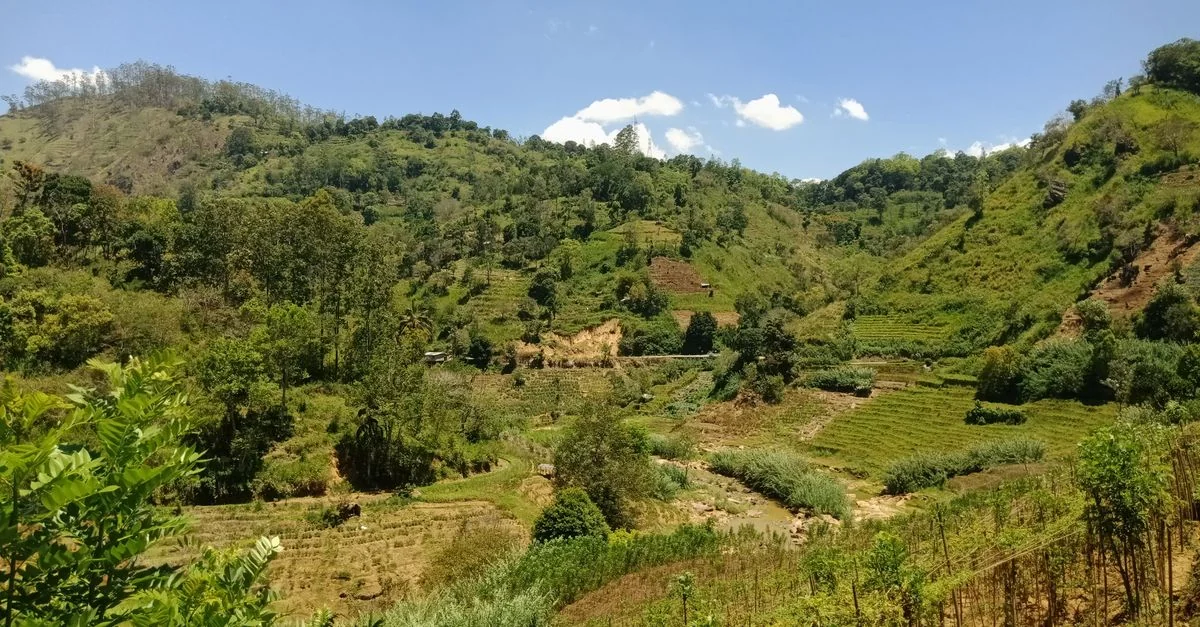 Ella Adventure Guide: Hiking Tours with Prices and Tips