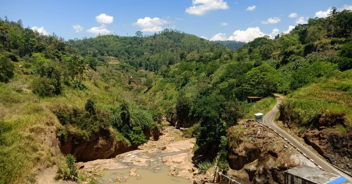 Ella Adventure Guide: Hiking Tours with Prices and Tips