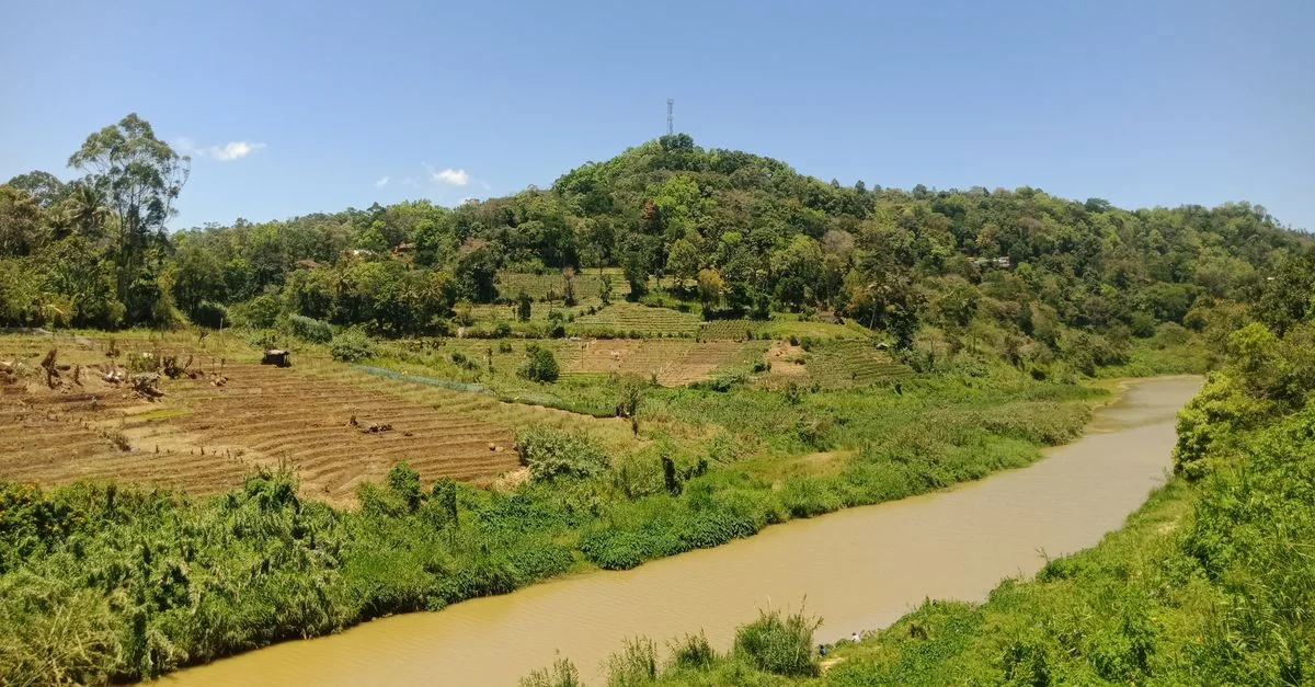 Ella Adventure Guide: Hiking Tours with Prices and Tips