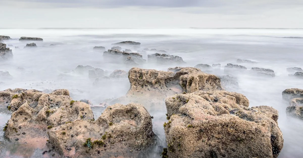 Best Photo Tours in Ericeira