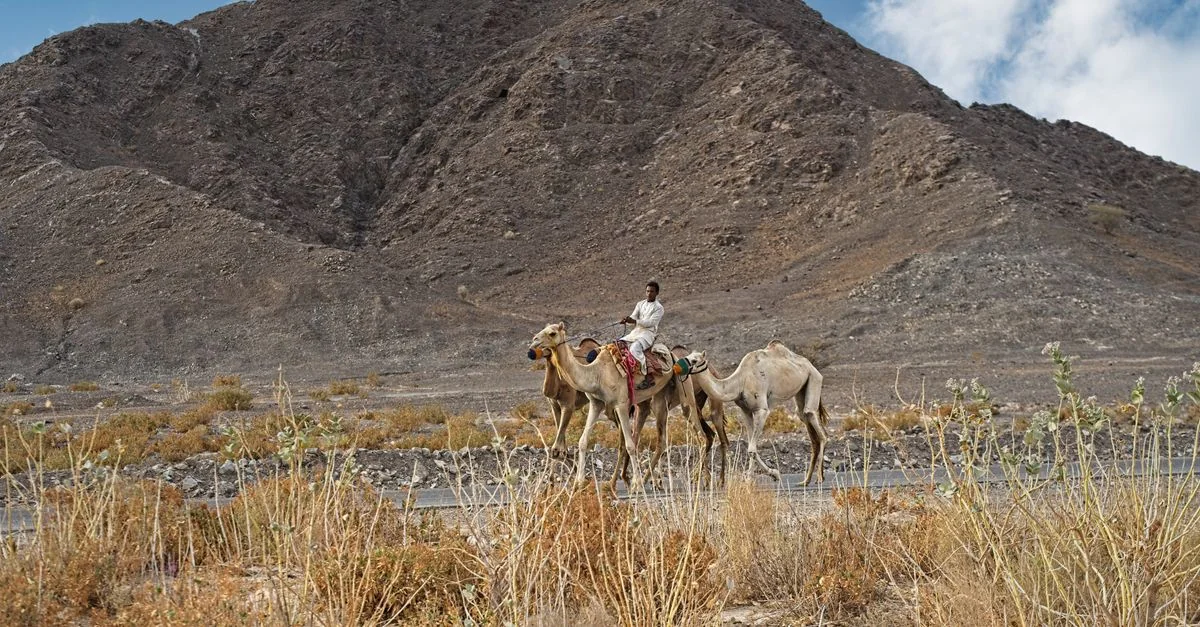 Eritrea Passport Visa Requirements and Travel Guide