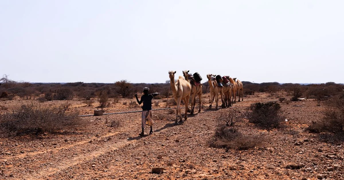 Eritrea Passport Visa Requirements and Travel Guide