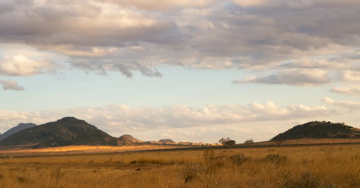 The Ultimate Africa eSIM Connectivity Guide for Travelers