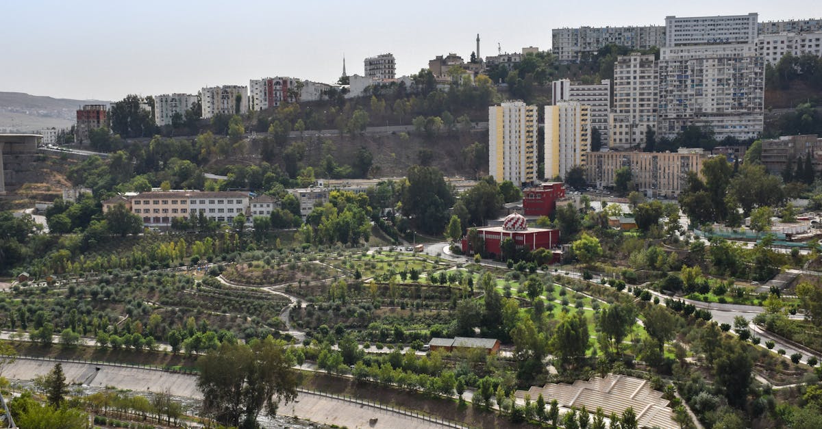 esim-algeria