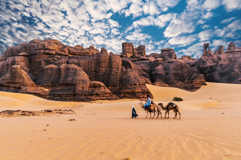 esim-algeria