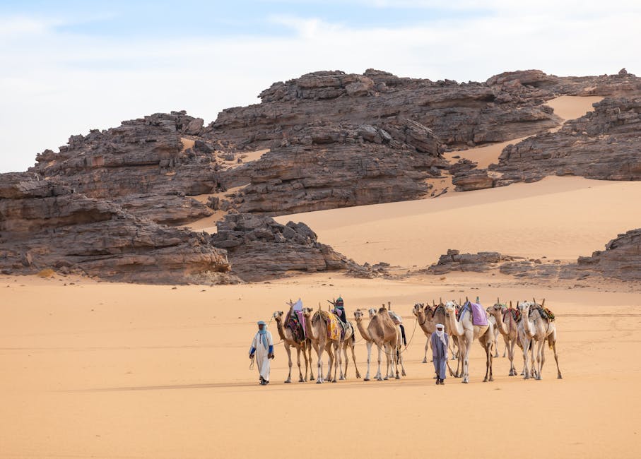 esim-algeria