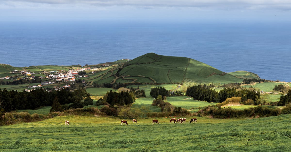esim-azores