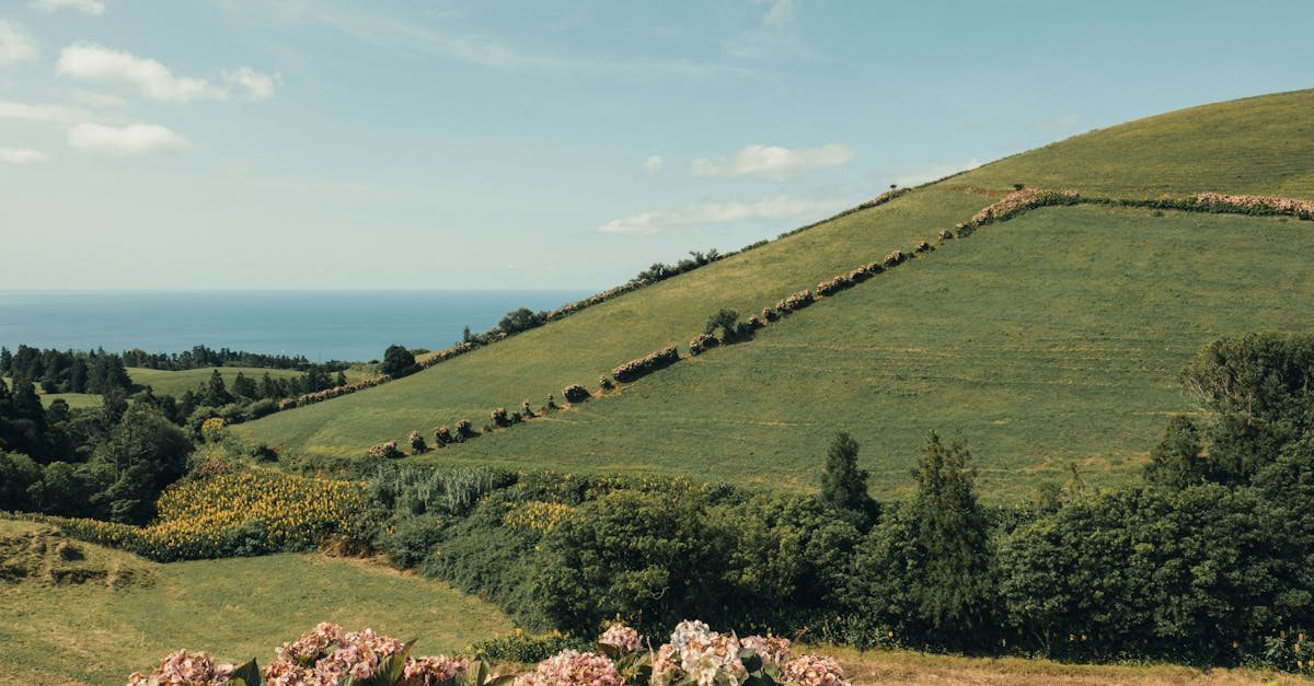 esim-azores