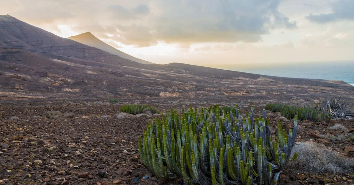 The Ultimate Traveler&rsquo;s Cape Verde eSIM Guide