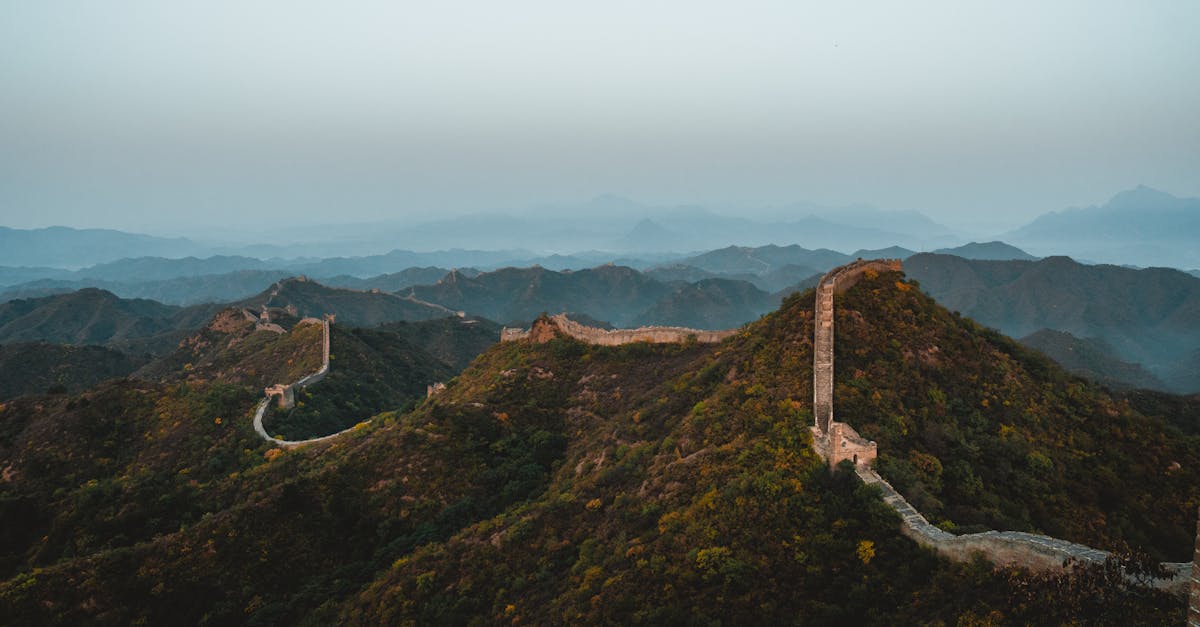esim-china