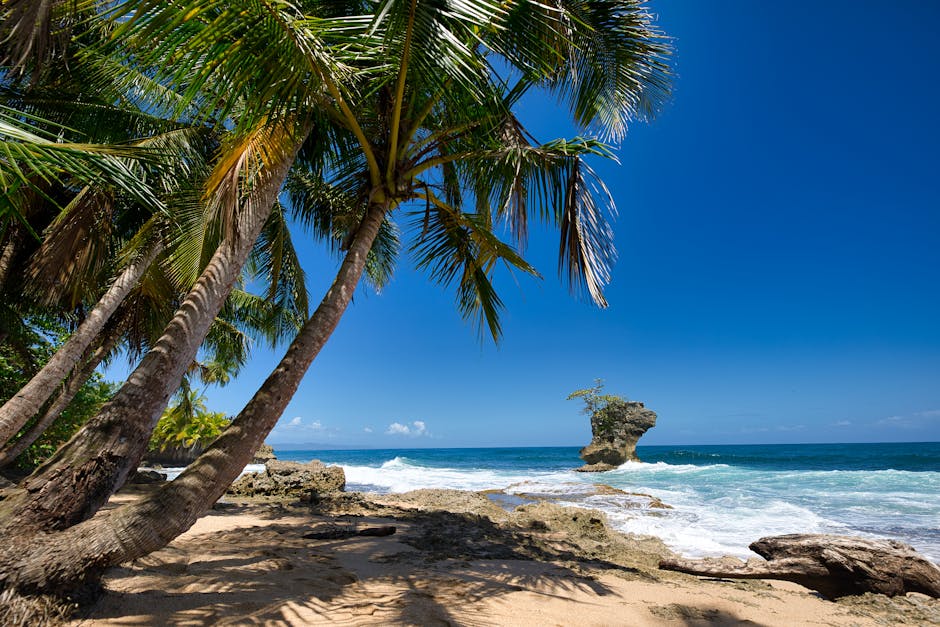 esim-costa-rica