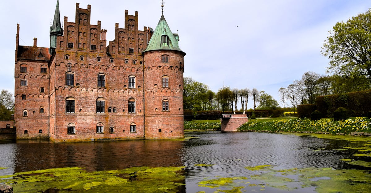 esim-denmark