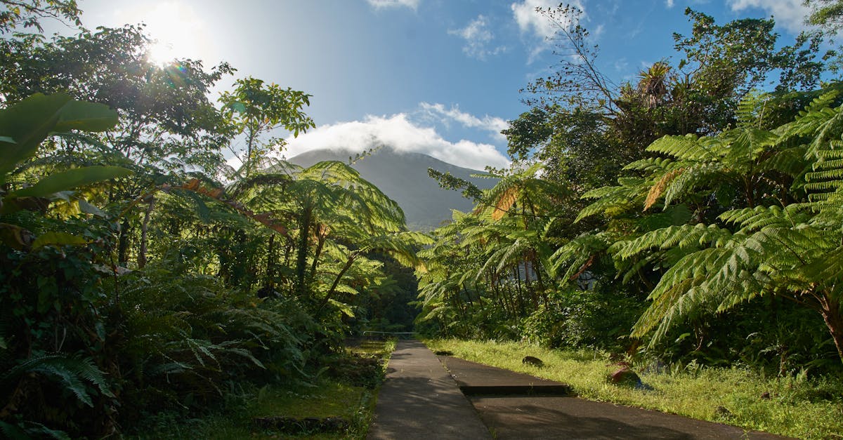 esim-guadeloupe