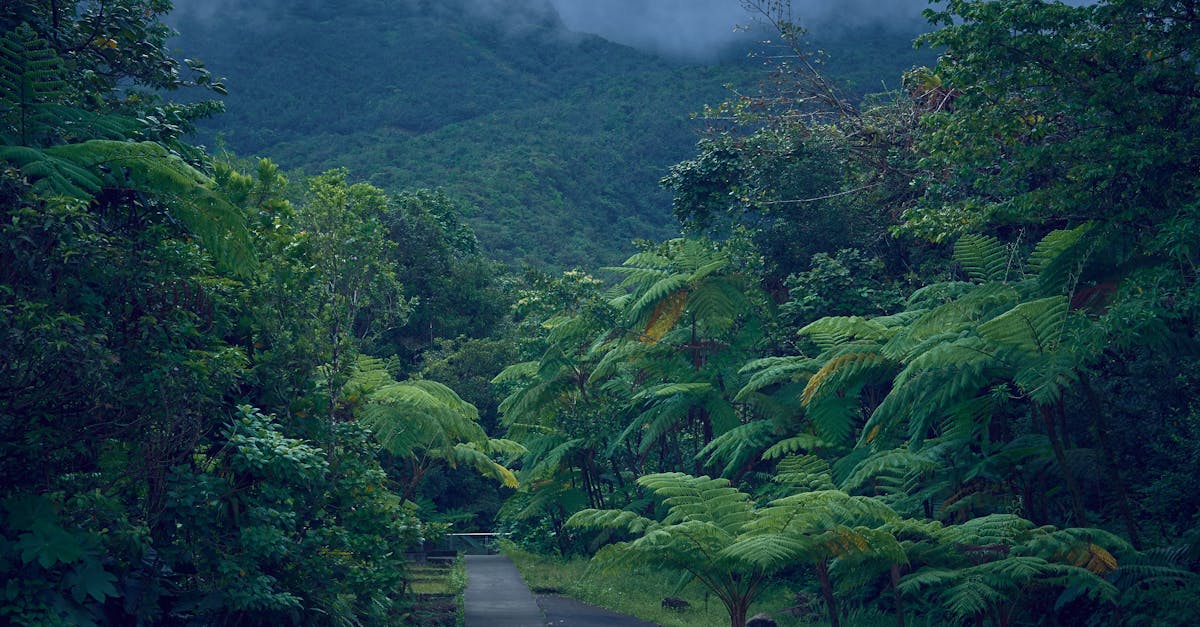 esim-guadeloupe