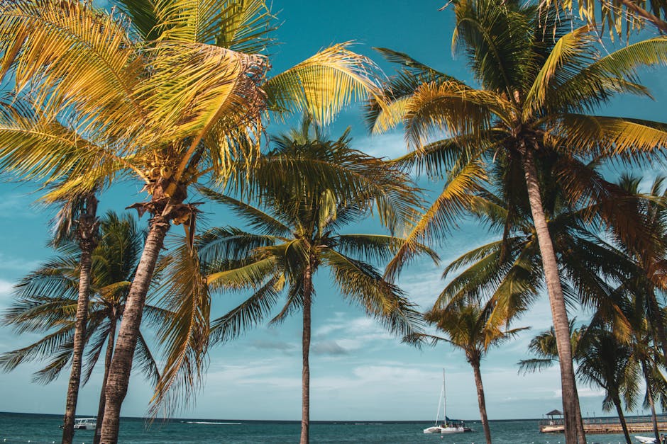 esim-jamaica