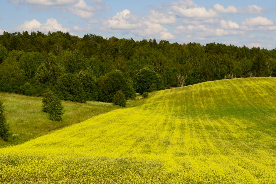 esim-lithuania