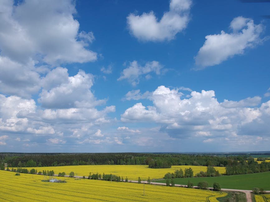 esim-lithuania
