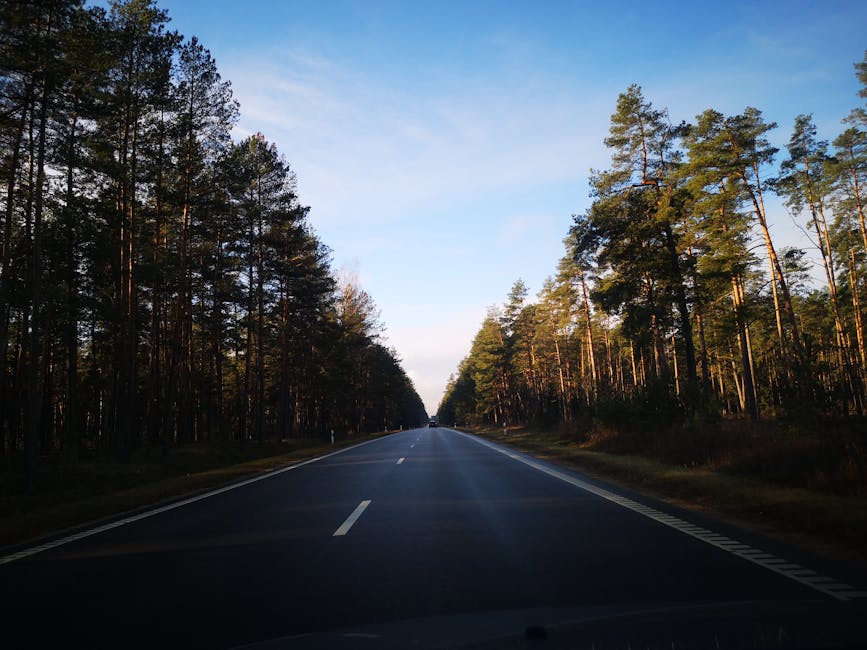 esim-lithuania