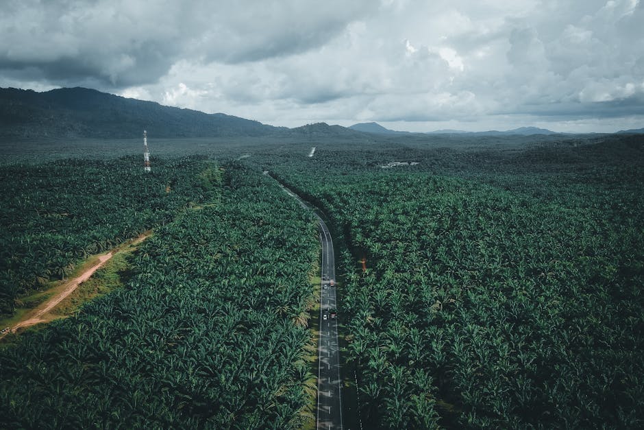 esim-malaysia