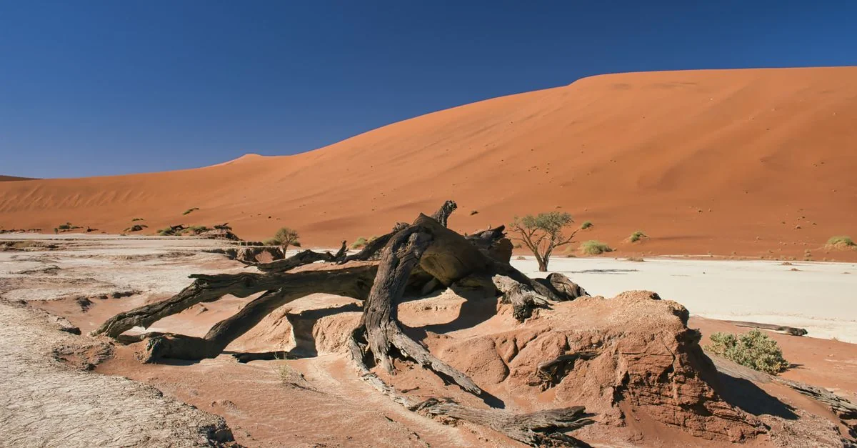 Connecting to Namibia with an eSIM