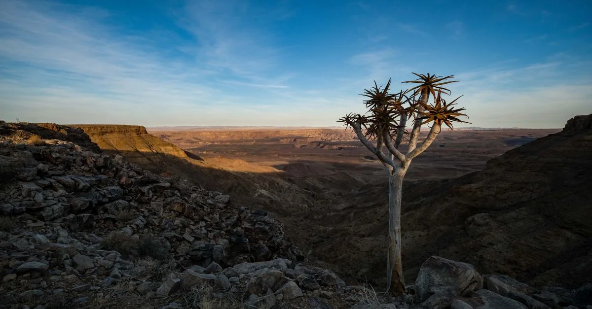 Connecting to Namibia with an eSIM