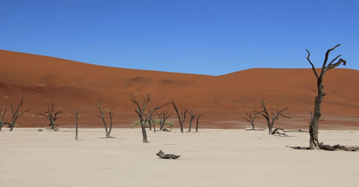 Connecting to Namibia with an eSIM