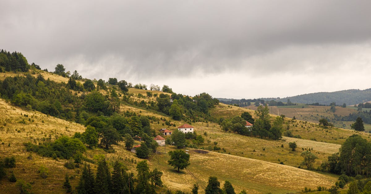 esim-serbia