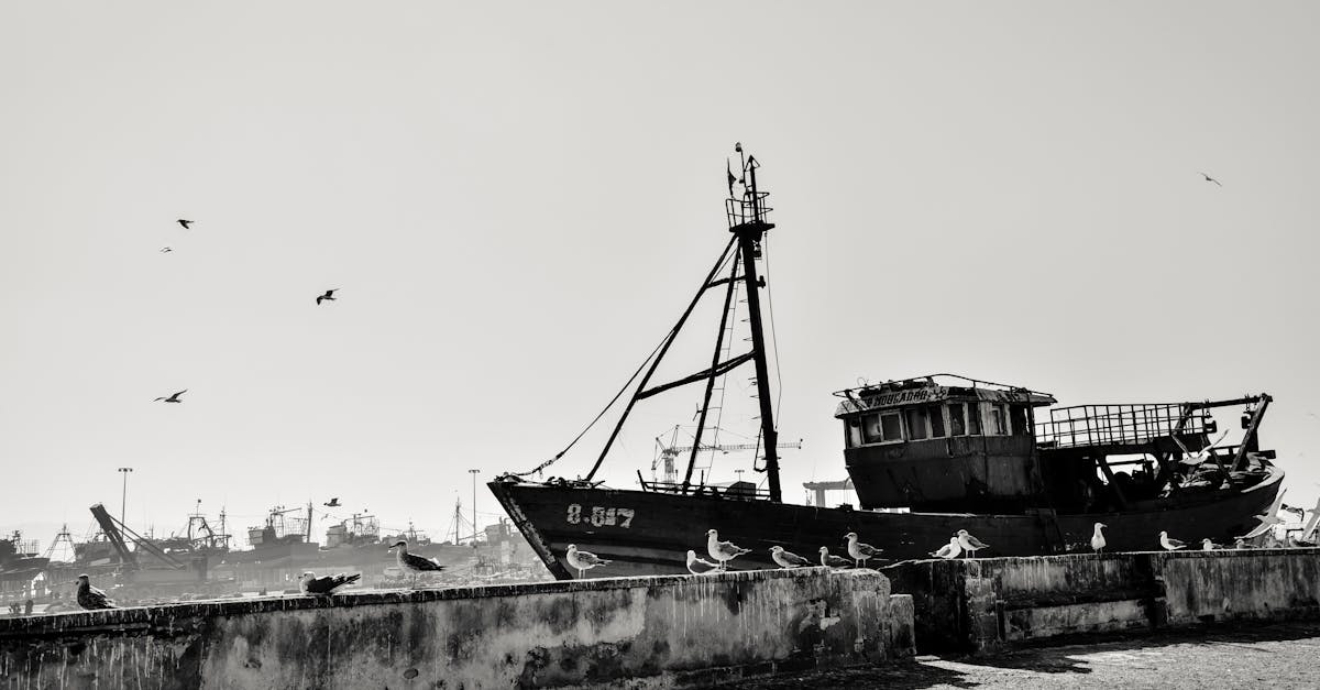 essaouira-extreme-tours