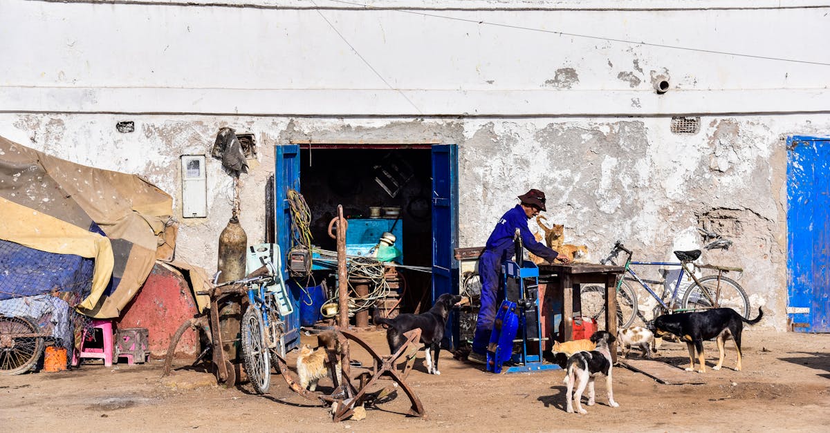 essaouira-extreme-tours