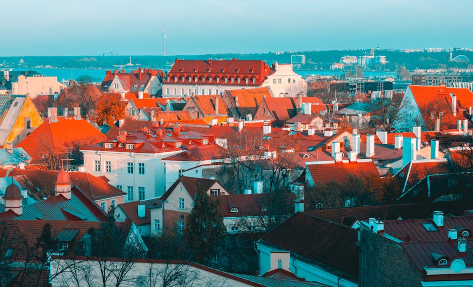 estonia-visa-free