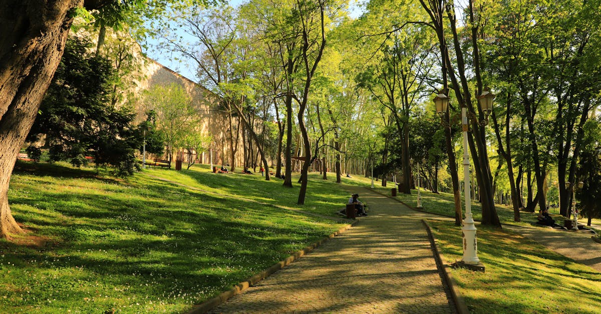 fatih-walking-tours