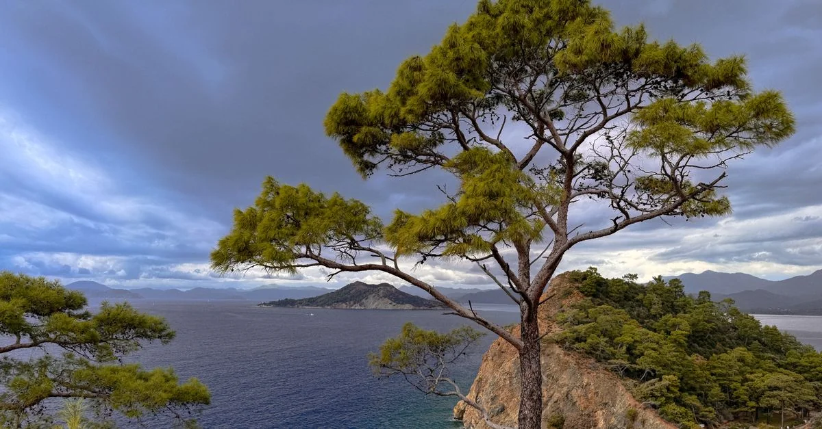 Fethiye Adventure Guide: Extreme Sports, Paragliding & Deals with Prices and Tips