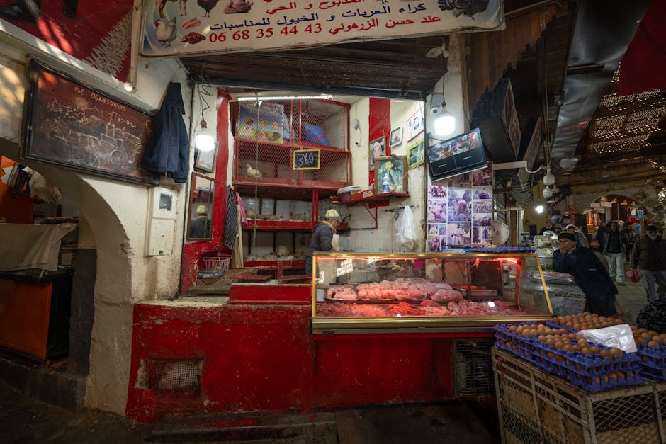 fez-multiday-tours