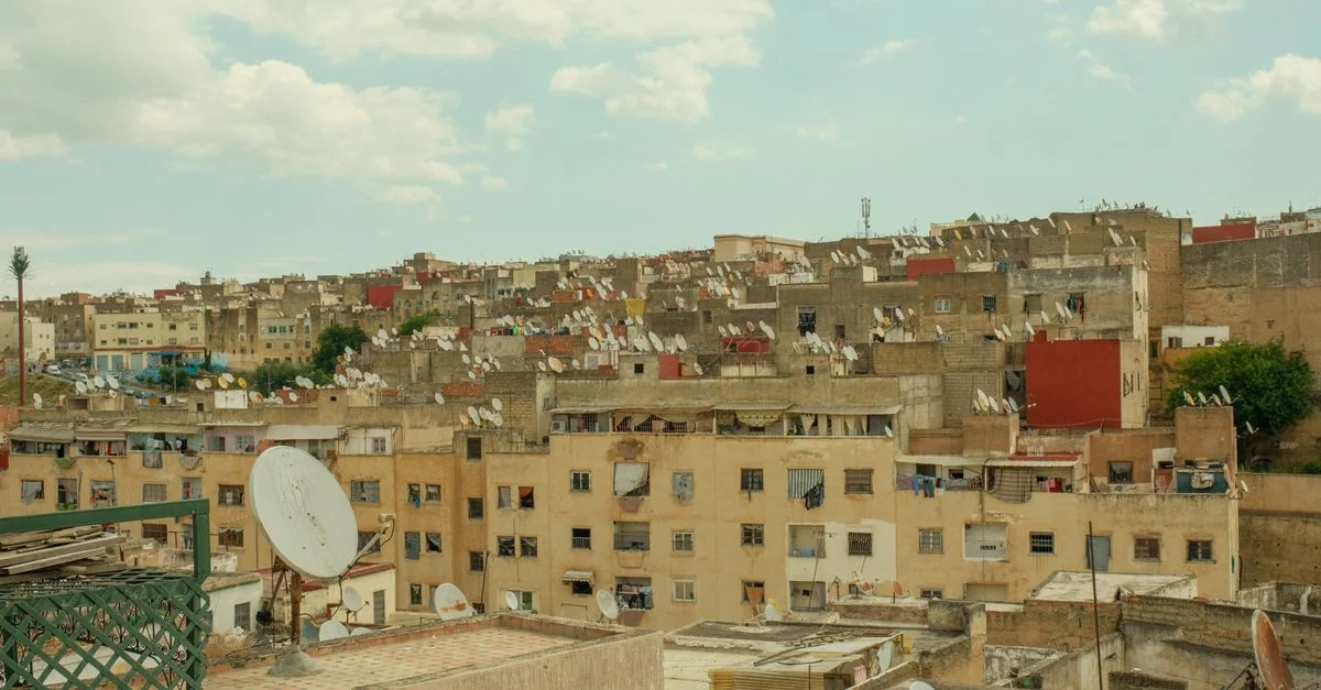 Nature and Wildlife Tours in Fez: Discover Morocco