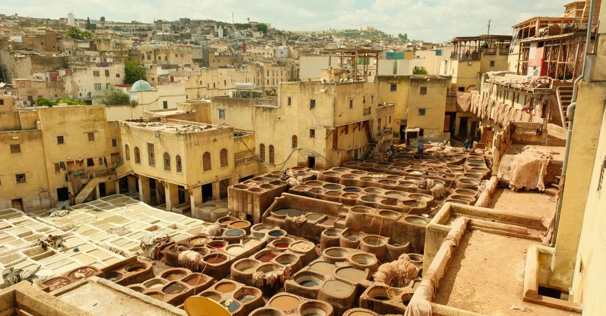 Nature and Wildlife Tours in Fez: Discover Morocco