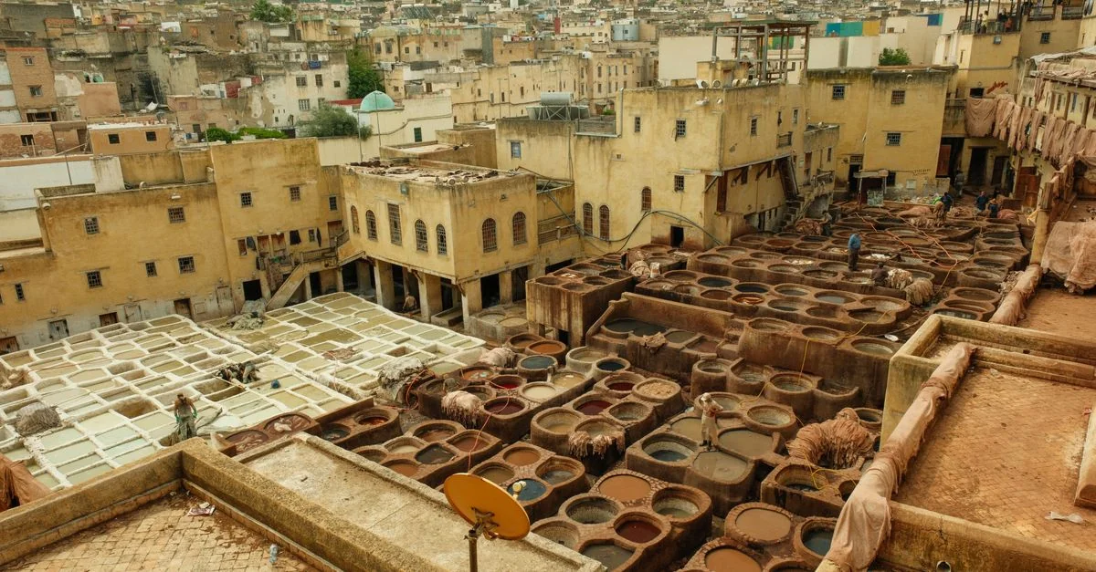 Nature and Wildlife Tours in Fez: Discover Morocco