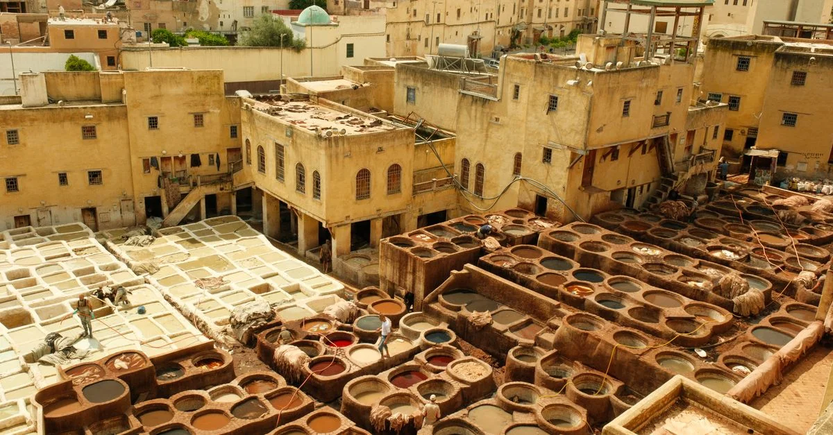 Nature and Wildlife Tours in Fez: Discover Morocco