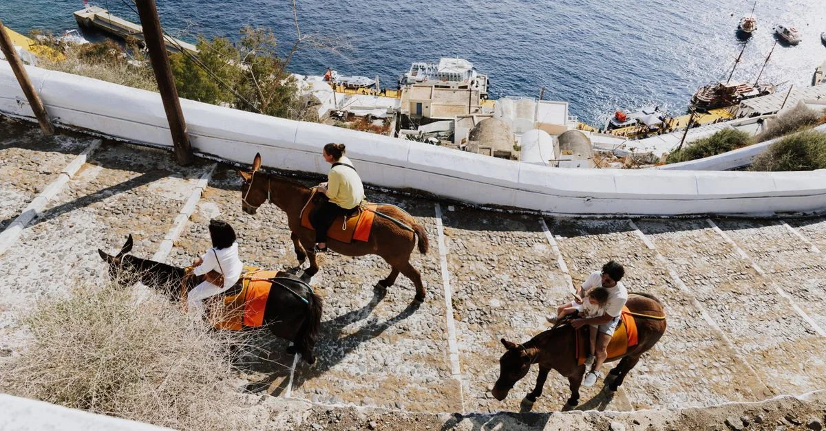 Best Cruise Tours in Fira