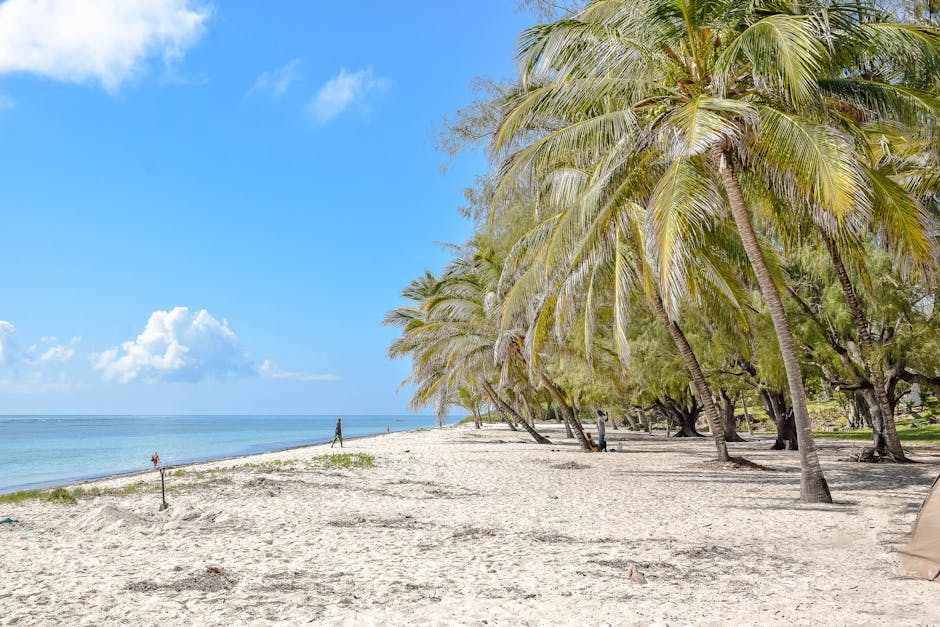 flic-en-flac-walking-tours