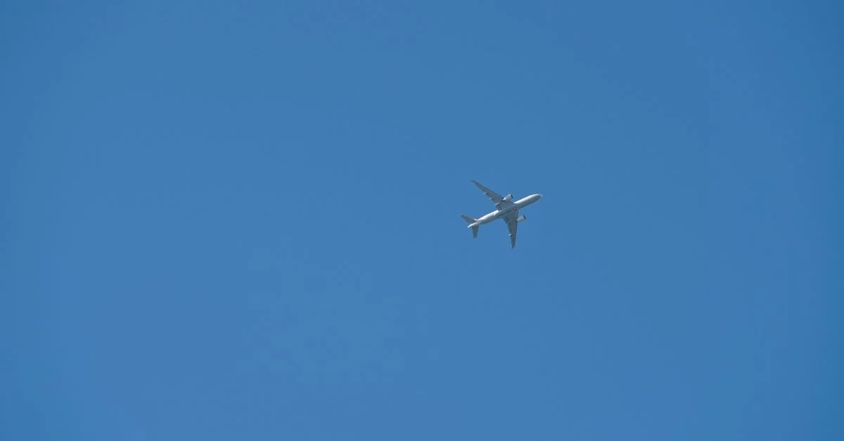 French Bee Airline Review: Comprehensive Data-Driven Analysis