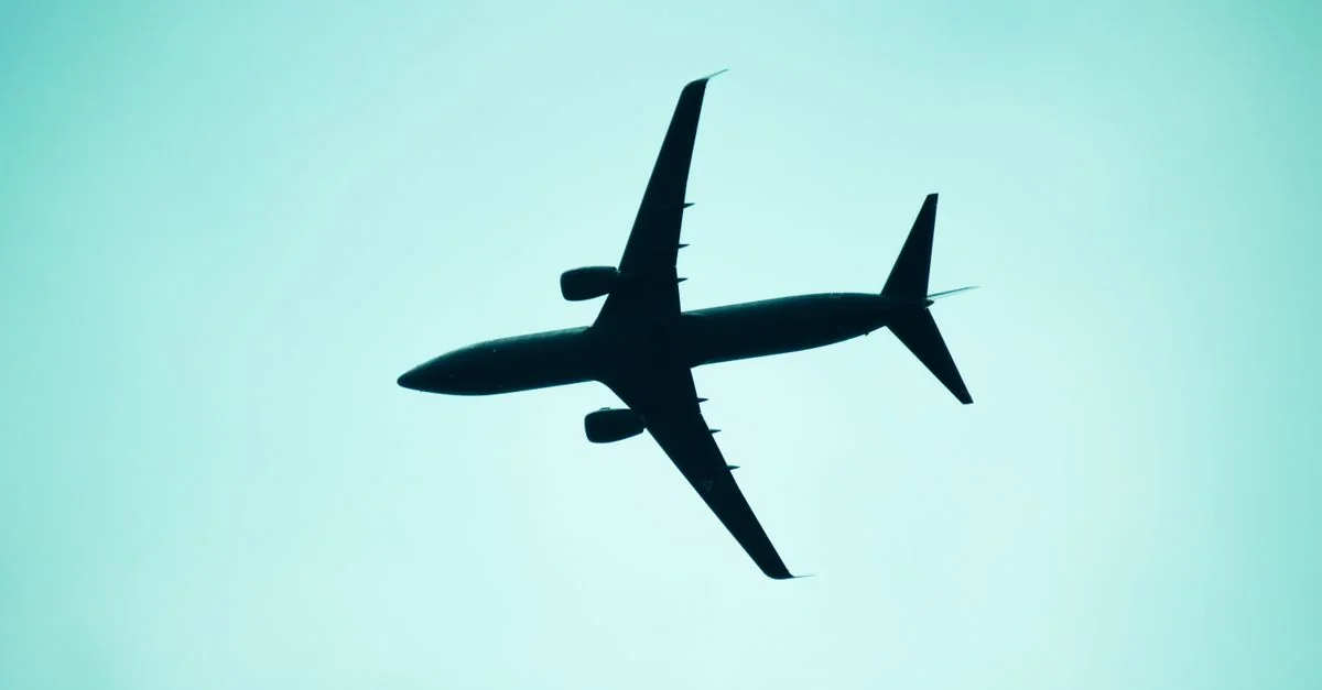 French Bee Airline Review: Comprehensive Data-Driven Analysis