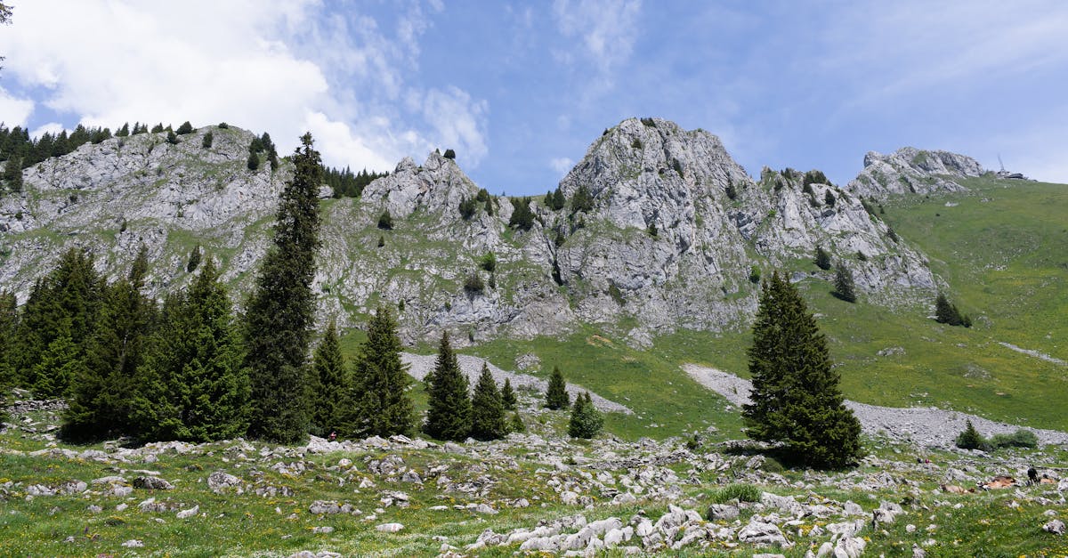 fribourg-to-zurich-train