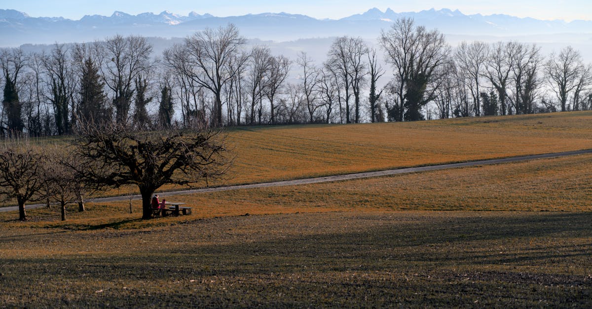 fribourg-to-zurich-train