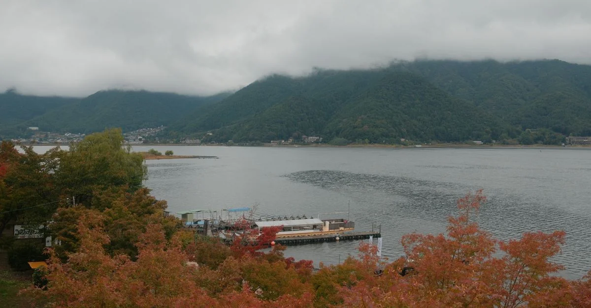 Fujikawaguchiko-machi Adventure Guide: Mountain Biking and Nature Tours with Prices and Tips
