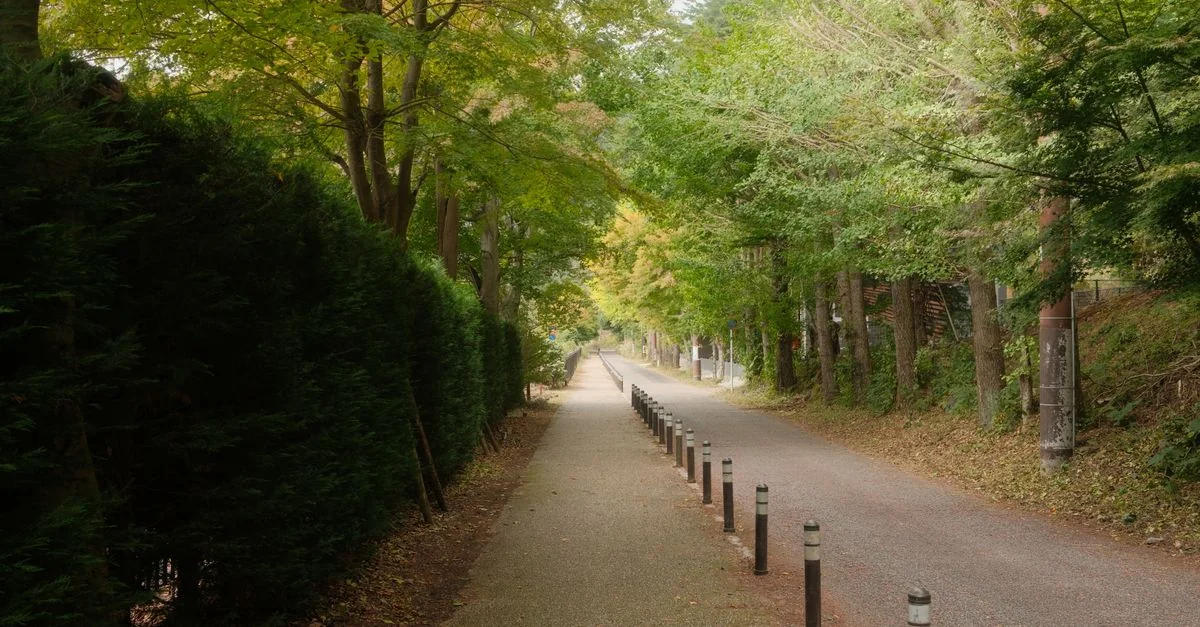Fujikawaguchiko-machi Adventure Guide: Mountain Biking and Nature Tours with Prices and Tips