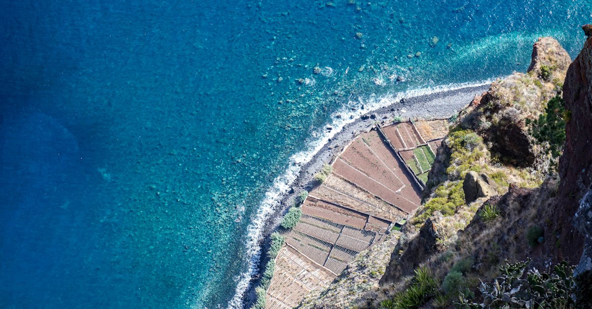 funchal-day-trips