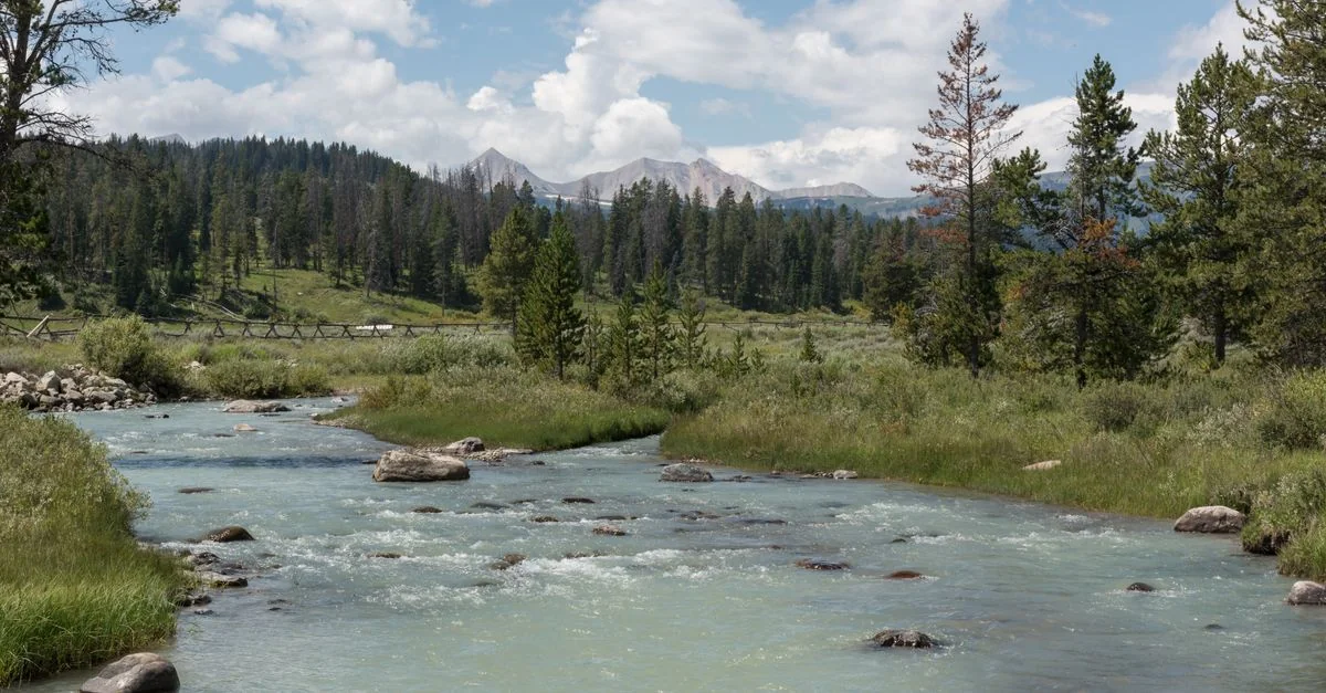 Yellowstone&rsquo;s Grandeur: Day Trips from Gallatin County